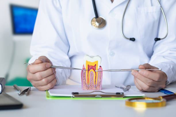 Best Tooth Infection Emergency Dentist  in Forest Hills, MI